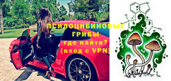 дурь Елабуга